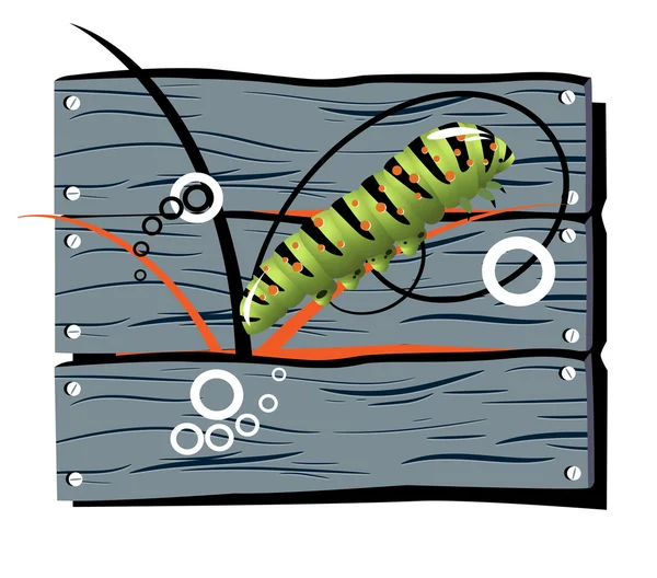 Fence caterpillar — Stock Vector