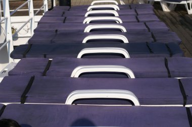 Cruise Gemi Danışma
