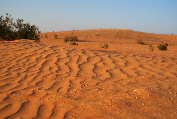 中東の砂砂漠の乾燥 — ストック写真
