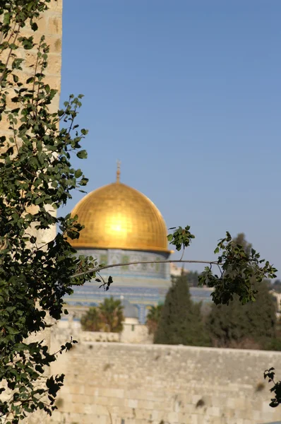 Gold Dome of the rock — Stock Photo, Image