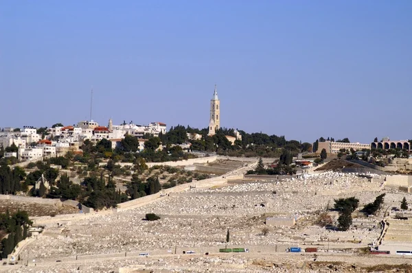 Olive mount i jerusalem — Stockfoto