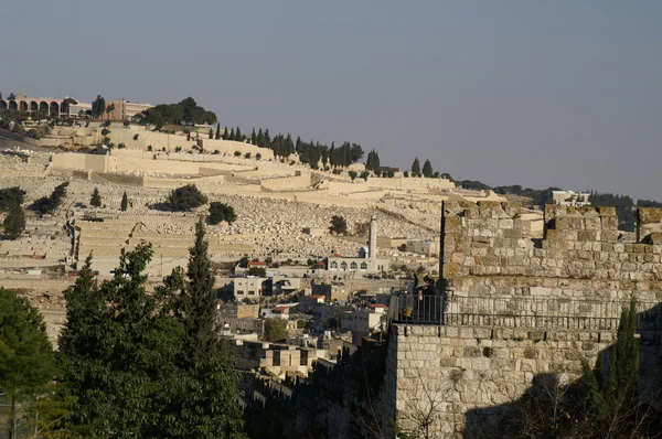 Monte degli Ulivi a Gerusalemme — Foto Stock