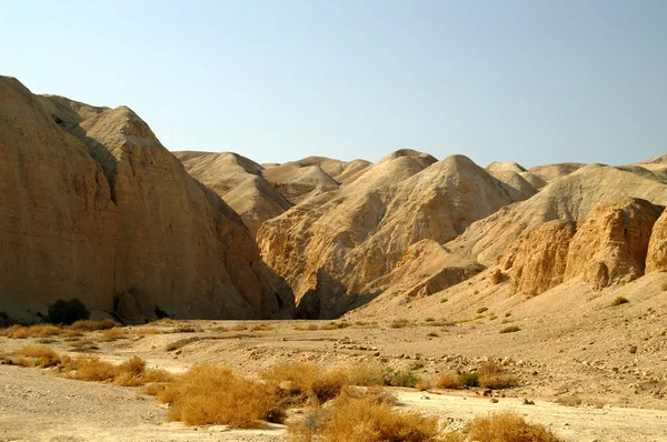 Έρημο Arava - νεκρό τοπίο, αν阿拉瓦沙漠-死景观、 艾菲尔铁塔的背景 — 图库照片