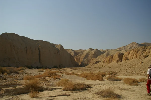 Έρημο Arava - νεκρό τοπίο, αν阿拉瓦沙漠-死景观、 艾菲尔铁塔的背景 — Φωτογραφία Αρχείου