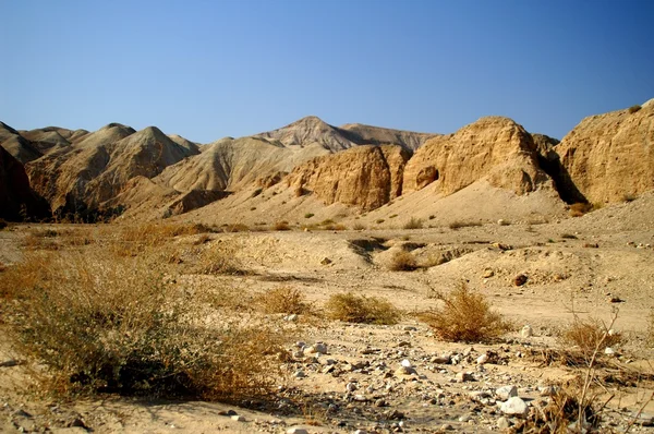 Έρημο Arava - νεκρό τοπίο, αν阿拉瓦沙漠-死景观、 艾菲尔铁塔的背景 — Φωτογραφία Αρχείου