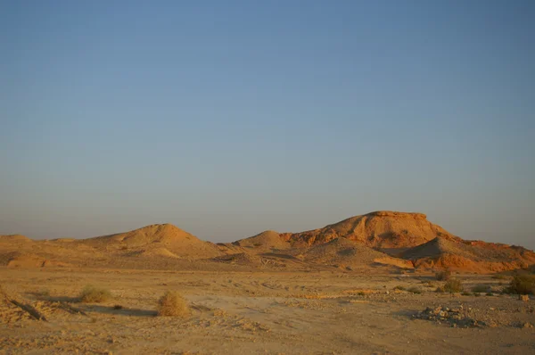 Arava desert — Stock Photo, Image