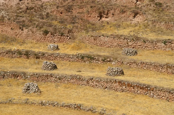 잉카 유적 — 스톡 사진