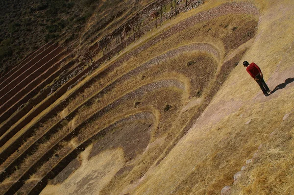 Inca ruins — Stock Photo, Image