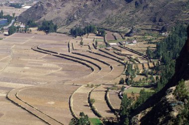 İnka harabelerini pisac