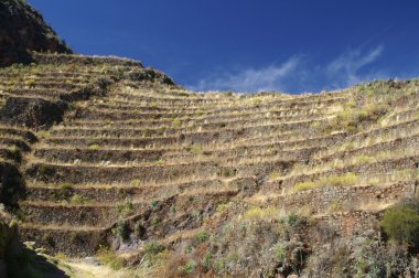 İnka harabelerini pisac