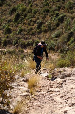 Andes içinde yürüyüş