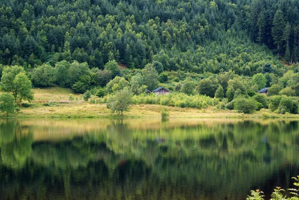İskoçya doğa yayalar için — Stok fotoğraf