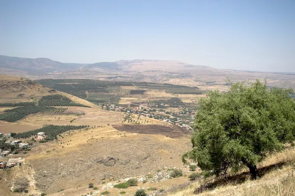 Galile manzarası - — Stok fotoğraf