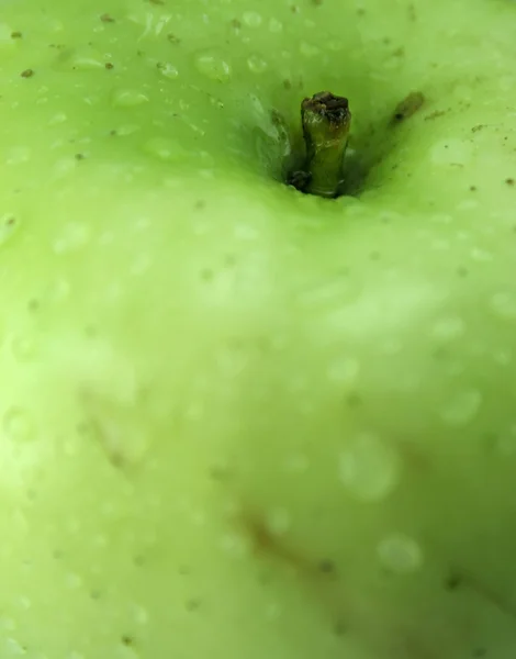 Ett grönt äpple — Stockfoto