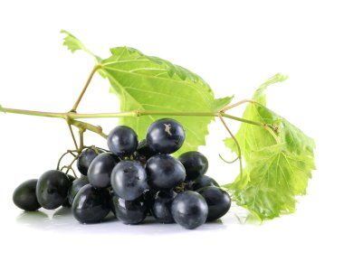 Black grapes isolated