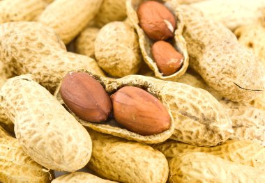 Heap of peanuts clipart