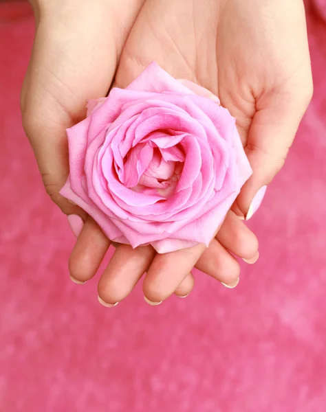 Růže v rukou — Stock fotografie