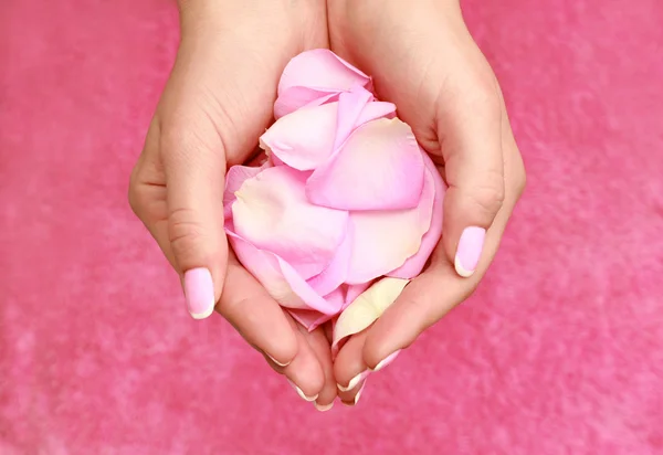 Pétalos de rosa en palmas — Foto de Stock