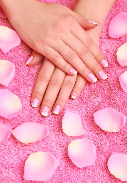 Petali di rosa e mani — Foto Stock