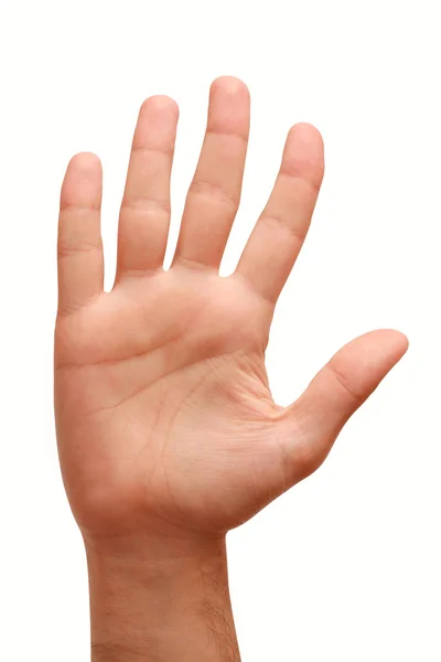 Offene Handfläche — Stockfoto