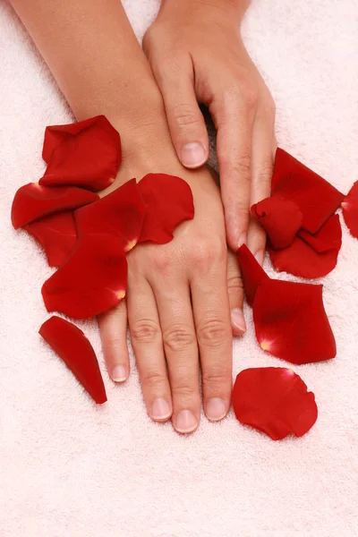 붉은 꽃잎과 손 — 스톡 사진