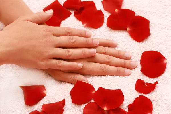 Red petals and hands Royalty Free Stock Images