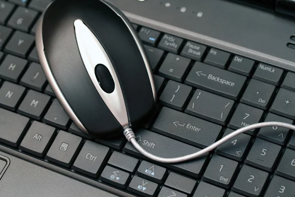 Дротові миші на клавіатурі — стокове фото