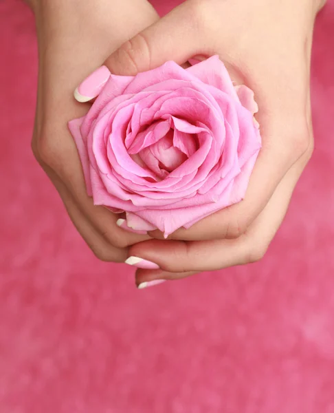 Rosa in mani — Foto Stock