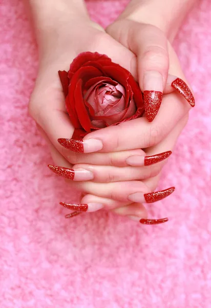 Röd ros för kvinnliga händer — Stockfoto