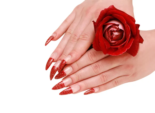 Mãos de mulher com rosa vermelha — Fotografia de Stock