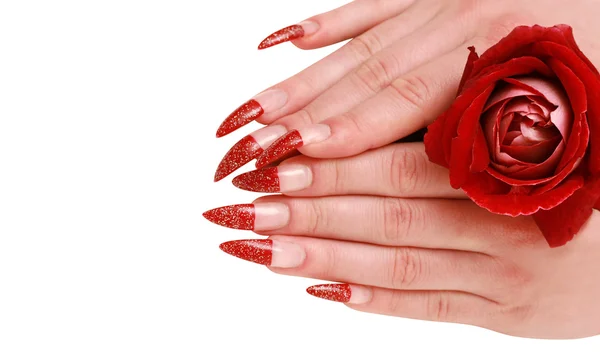 Kvinna händer med röd ros — Stockfoto