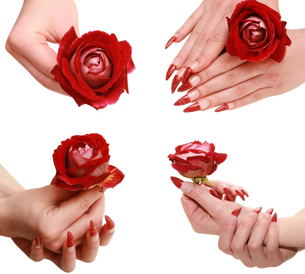 Röd ros i en kvinnlig hand — Stockfoto