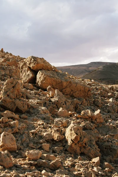 stock image Mountains In Desert