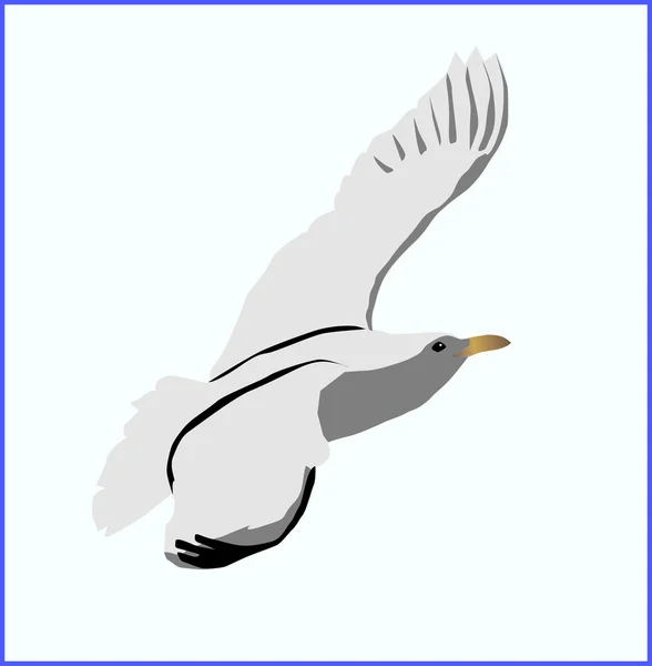 Vektor flygande fågel — Stock vektor