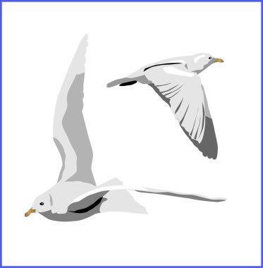 Flying bird, vector clipart