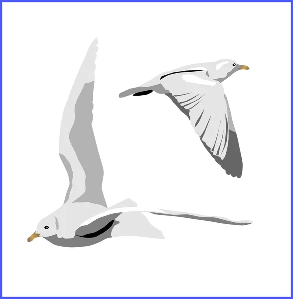 Fliegender Vogel, Vektor — Stockvektor