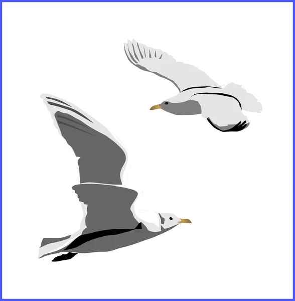 Letícího ptáka, vektor — Stockový vektor