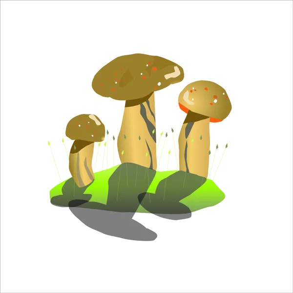 Mushroom, vector — Stock Vector