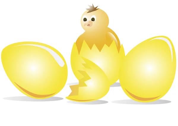 Frango eclodido de ovos — Vetor de Stock
