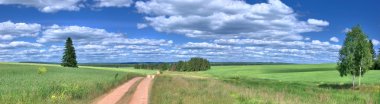 Country road in the field. clipart