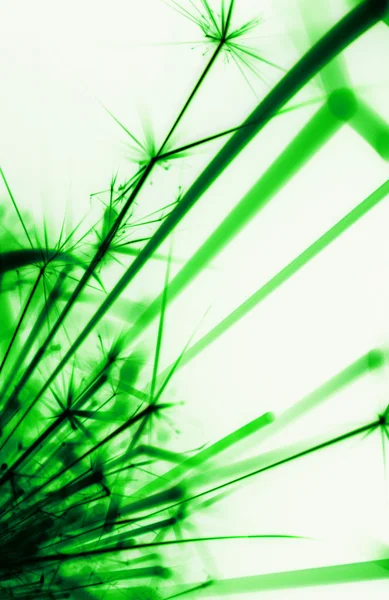 Green sparks — Stock Photo, Image