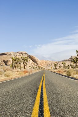 Joshua Tree Ulusal Parkı