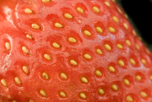Bliska truskawka — Zdjęcie stockowe