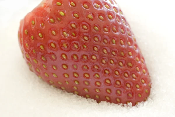 Single strawberry — Stock Photo, Image