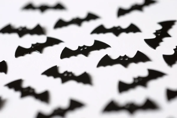 stock image Halloween bats