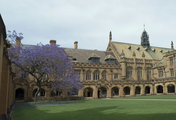 Sydney Üniversitesi quadrangle - Stok İmaj