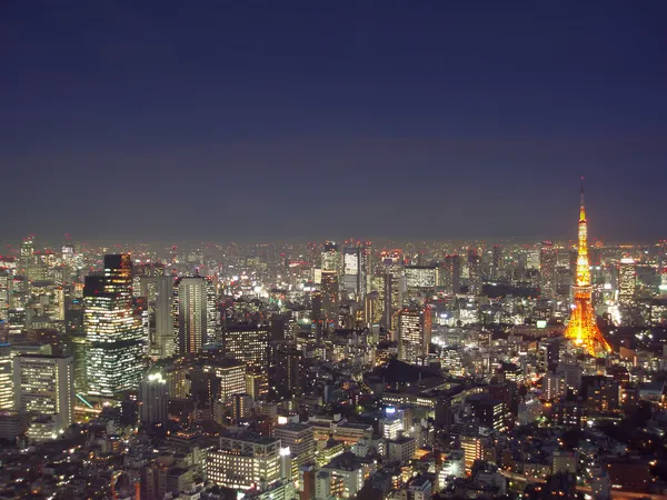 Tokyo van bovenaf — Stockfoto