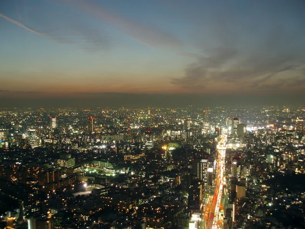 上から東京 — ストック写真