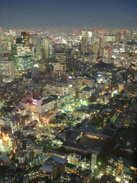 Tokio z góry — Zdjęcie stockowe