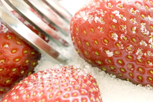 stock image Strawberries and sugar